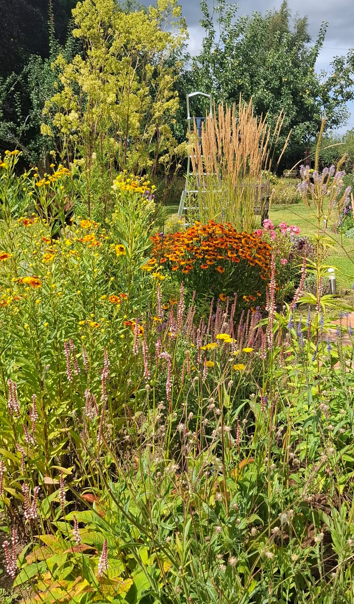 Late Summer colour